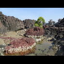 Beim Klettern in diesen Felsen